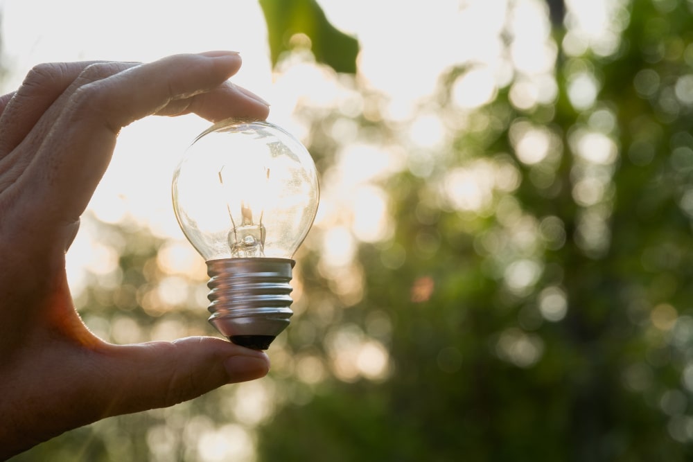 consultar el consumo de la luz con una asesoría energética en barakaldo